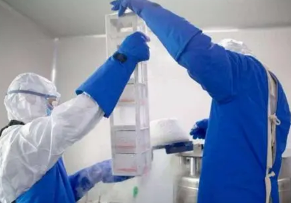 細(xì)胞凍存 細(xì)胞凍存