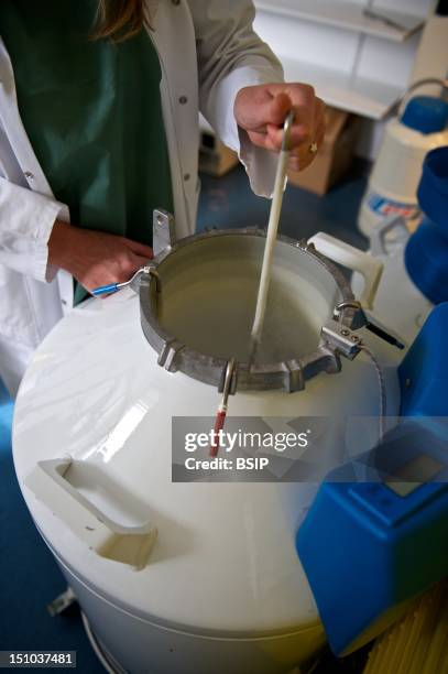 液氮罐內(nèi)提取樣品 液氮罐內(nèi)提取樣品